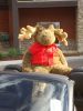 Filename=DSC03287.jpg
Filesize=99KiB
Dimensions=768x1024
Date added=Aug 18, 2011 DSC03287.jpg