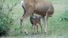 Filename=rDSc1_283729.jpg
Filesize=201KiB
Dimensions=1280x720
Date added=Sep 30, 2011 rDSc1_283729.jpg