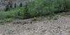 Filename=rDSc1_2842829.jpg
Filesize=221KiB
Dimensions=1280x653
Date added=Sep 30, 2011 rDSc1_2842829.jpg
