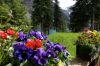 Filename=rDSc1_2851529.jpg
Filesize=239KiB
Dimensions=1280x853
Date added=Sep 30, 2011 rDSc1_2851529.jpg
