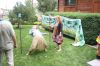 Filename=cars_024.jpg
Filesize=258KiB
Dimensions=1280x851
Date added=Sep 15, 2013 cars_024.jpg