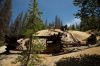 Filename=z17.jpg
Filesize=267KiB
Dimensions=1280x853
Date added=Jul 11, 2014 z17.jpg