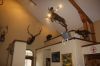 Filename=IMG_1649.jpg
Filesize=82KiB
Dimensions=1280x853
Date added=Aug 19, 2014 IMG_1649.jpg
