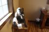 Filename=IMG_1651.jpg
Filesize=106KiB
Dimensions=1280x853
Date added=Aug 19, 2014 IMG_1651.jpg