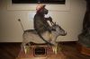 Filename=IMG_1656.jpg
Filesize=121KiB
Dimensions=1280x853
Date added=Aug 19, 2014 IMG_1656.jpg