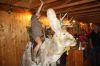 Filename=IMG_5197.jpg
Filesize=157KiB
Dimensions=1280x853
Date added=Jul 28, 2016 IMG_5197.jpg