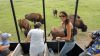 Filename=IMG_5206.jpg
Filesize=191KiB
Dimensions=1280x720
Date added=Jul 28, 2016 IMG_5206.jpg