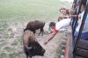 Filename=IMG_5222.jpg
Filesize=218KiB
Dimensions=1280x853
Date added=Jul 28, 2016 IMG_5222.jpg