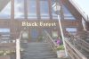 Filename=IMG_5565.JPG
Filesize=138KiB
Dimensions=1280x853
Date added=Sep 17, 2016 IMG_5565.JPG