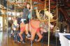 Filename=IMG_5592.JPG
Filesize=201KiB
Dimensions=1280x853
Date added=Sep 17, 2016 IMG_5592.JPG
