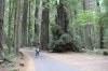 Filename=IMG_3771.JPG
Filesize=617KiB
Dimensions=2000x1333
Date added=Sep 09, 2017 IMG_3771.JPG