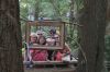 Filename=IMG_6987.JPG
Filesize=344KiB
Dimensions=2000x1333
Date added=Sep 09, 2017 IMG_6987.JPG