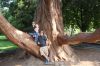 Filename=IMG_7026.JPG
Filesize=530KiB
Dimensions=2000x1333
Date added=Sep 09, 2017 IMG_7026.JPG