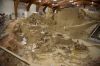 Filename=AP1I8112.jpg
Filesize=466KiB
Dimensions=2000x1333
Date added=Jul 07, 2017 AP1I8112.jpg
